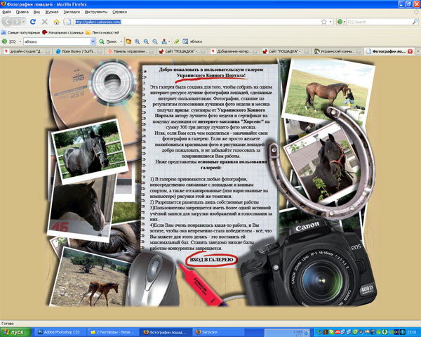 WEB-страничка для Украинского конного портала